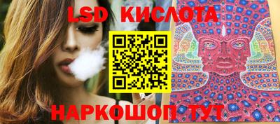гидропоника Пенза