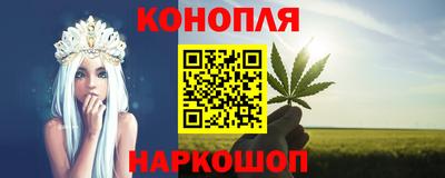гидропоника Пенза